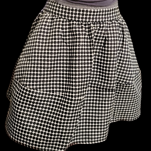 NWT Zara Skirt Bouffant 10 Fully Lined - Picture 2 of 7